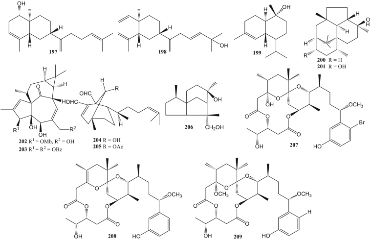 Figure 11