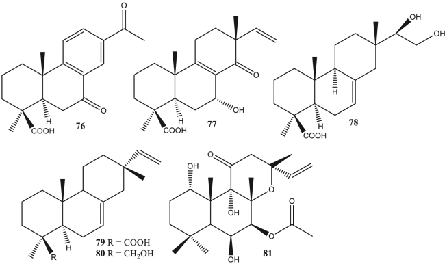 Figure 5