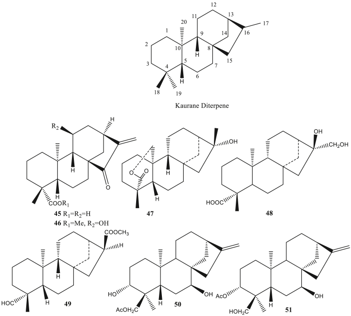 Figure 3