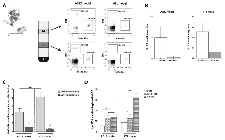 Tumor-Derived Factors Differentially Affect the Recruitment and ...