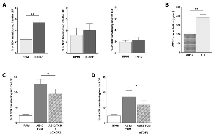 Tumor-Derived Factors Differentially Affect the Recruitment and ...