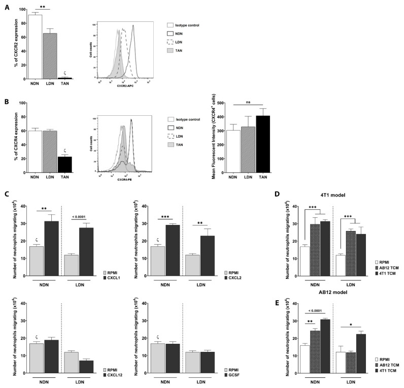 Tumor-Derived Factors Differentially Affect the Recruitment and ...