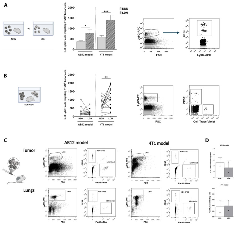 Tumor-Derived Factors Differentially Affect the Recruitment and ...