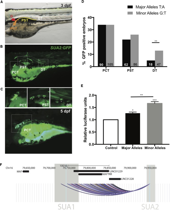 FIGURE 3