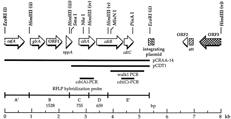 FIG. 1