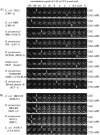 FIG. 3.