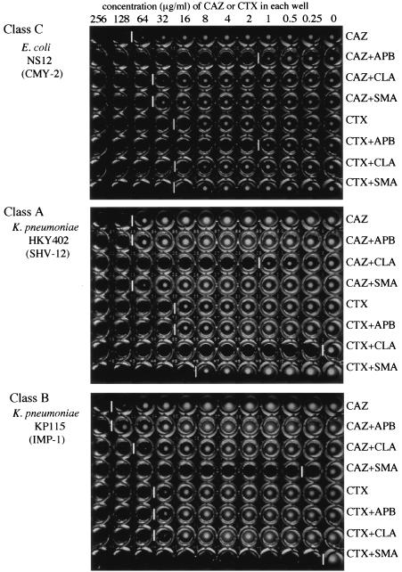 FIG. 4.