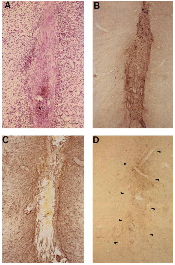 Fig. 8