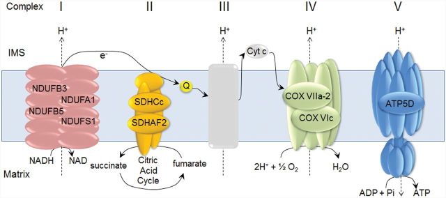 FIG. 6.