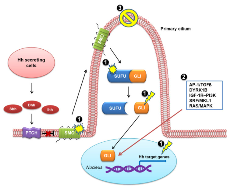 Figure 5