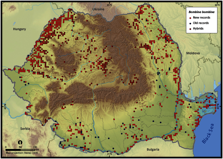 Figure 12.