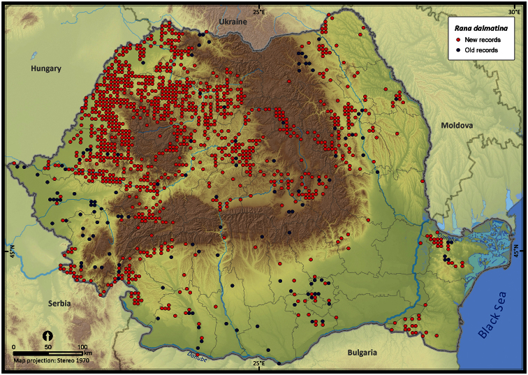 Figure 19.