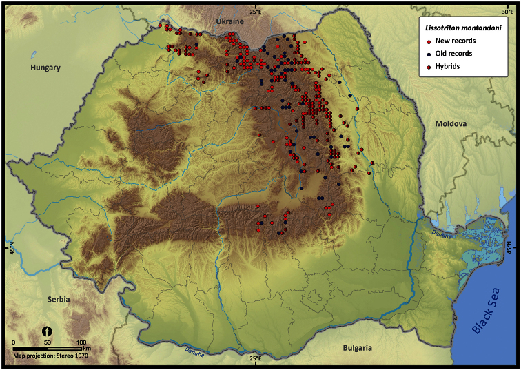 Figure 11.