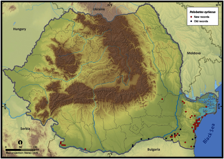 Figure 15.