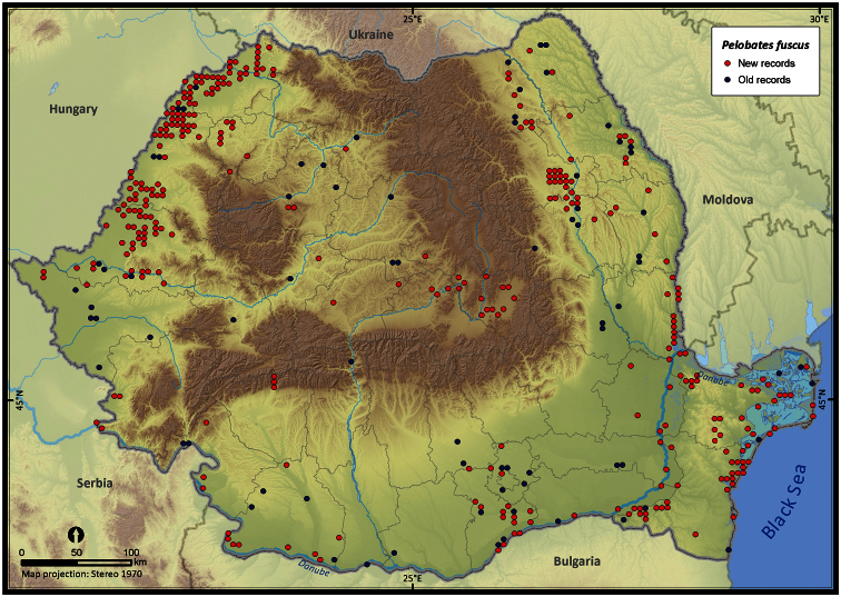 Figure 14.