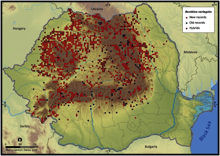 Figure 13.