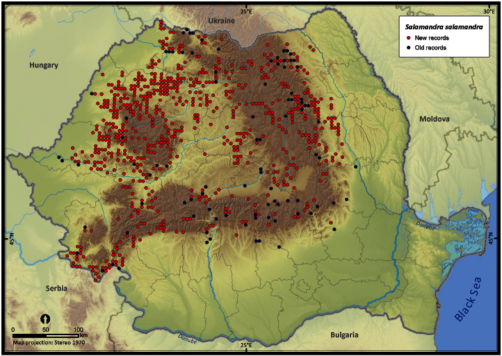 Figure 6.