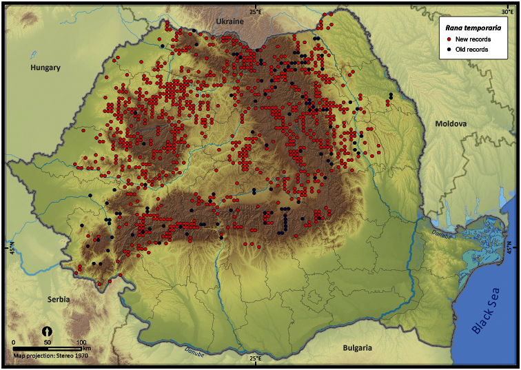 Figure 21.