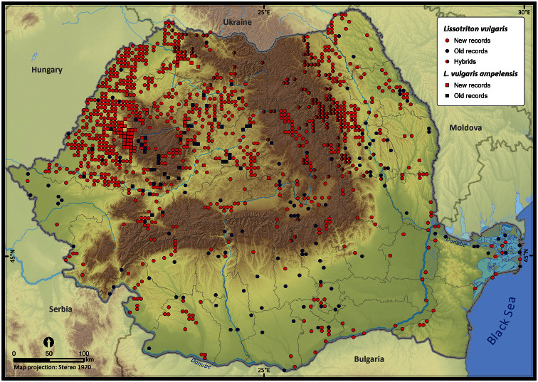 Figure 10.