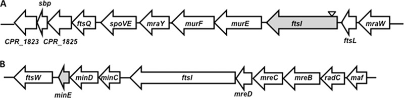 FIG 3