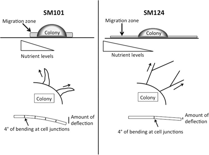 FIG 4