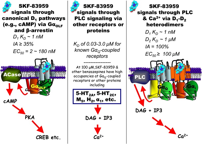 Fig. 2.