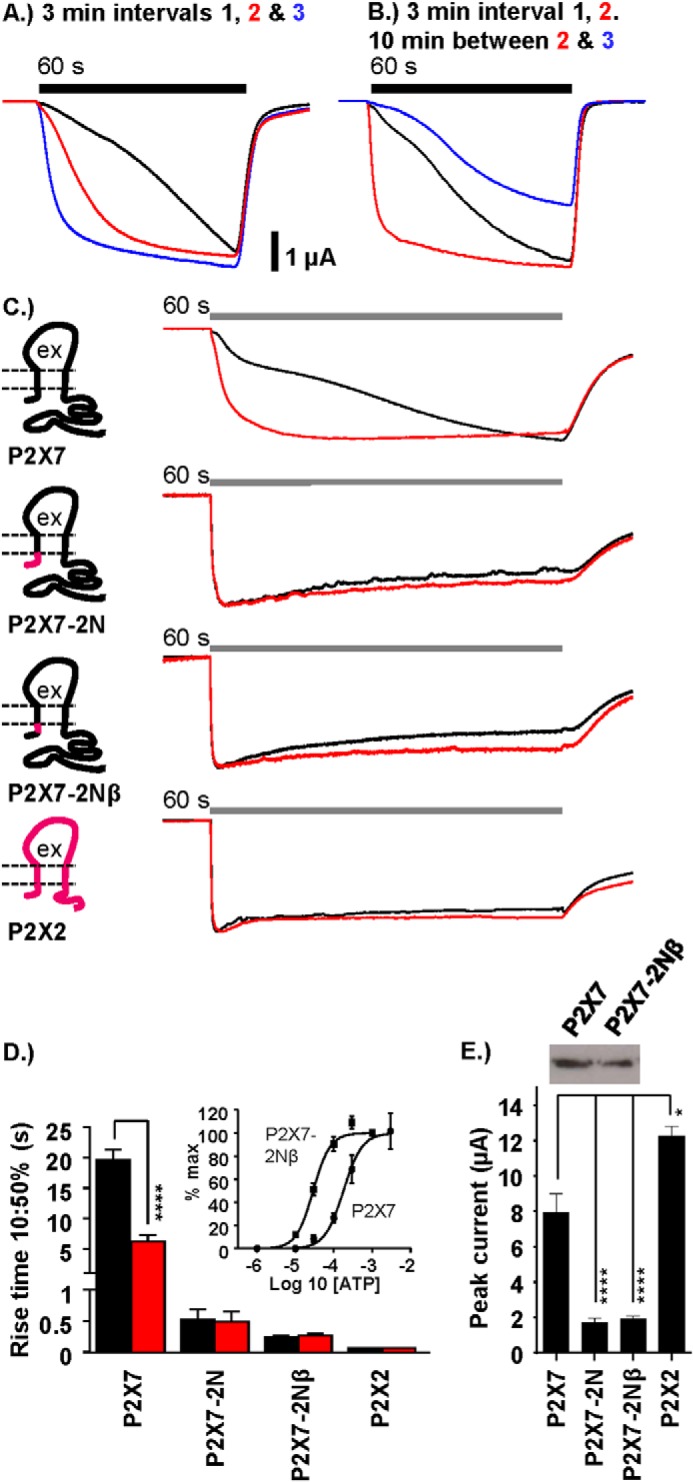 FIGURE 1.