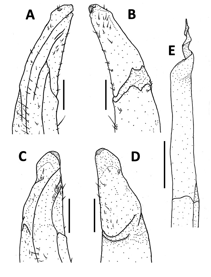 Fig. 7.