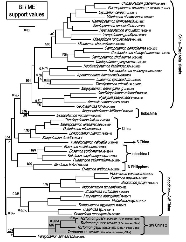 Fig. 9.