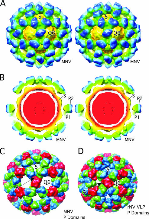 FIG. 2.