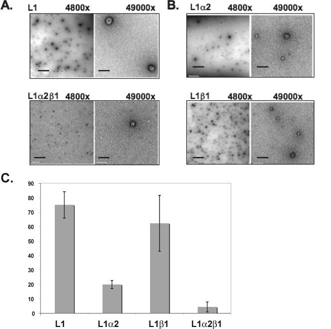 FIG. 6.