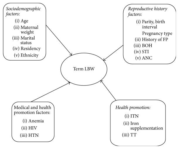 Figure 1