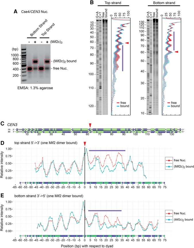 Figure 5.