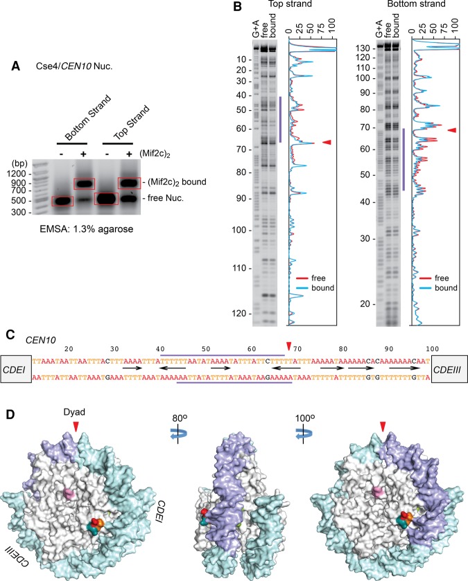 Figure 6.