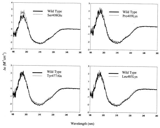 FIG. 6