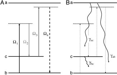 Fig. 9.