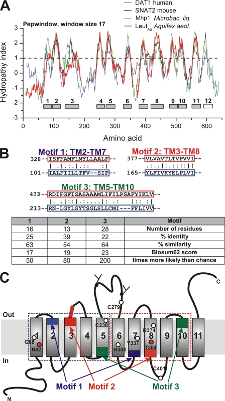 FIGURE 1.