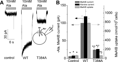 FIGURE 4.