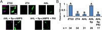 Fig. 4.
