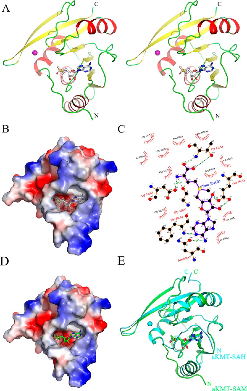 Fig. 6.