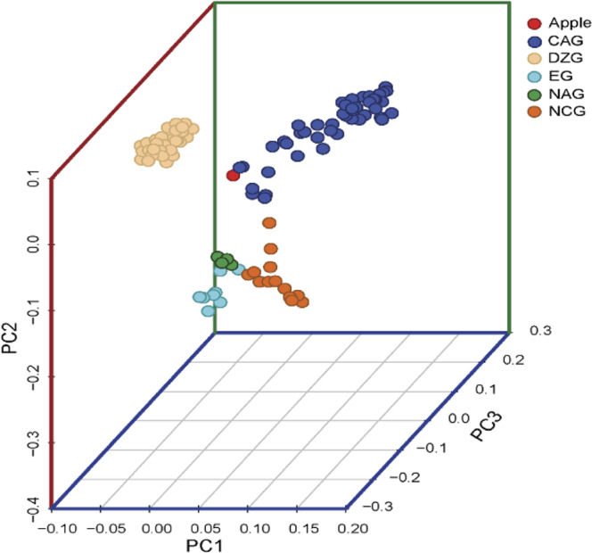 Fig. 4