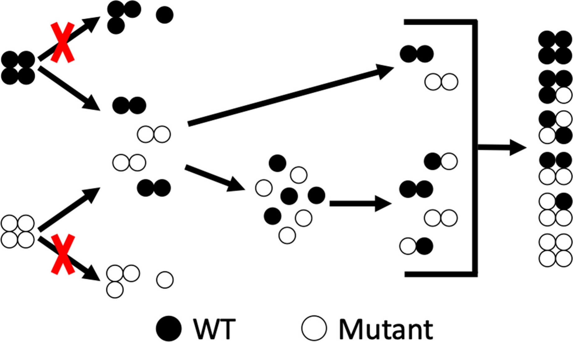 Scheme 2.