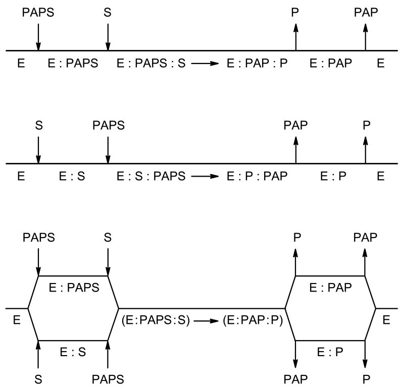 Scheme 2