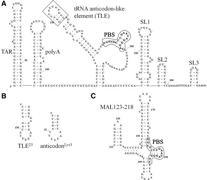 FIGURE 1.