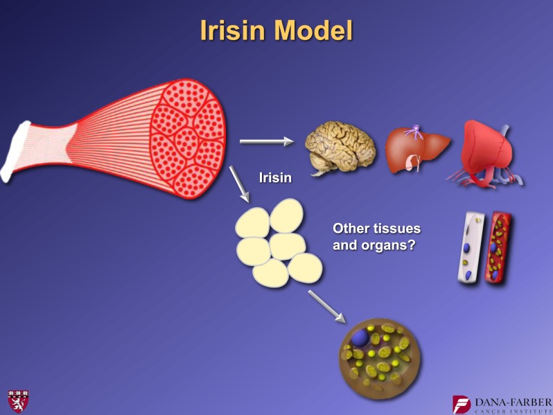 FIG. 14.