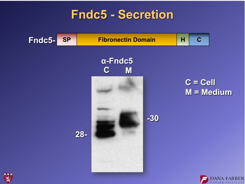 FIG. 9.