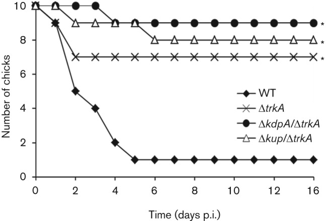 Fig. 8. 