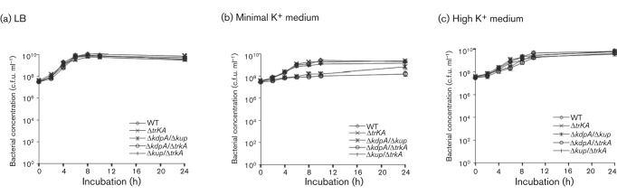 Fig. 1. 