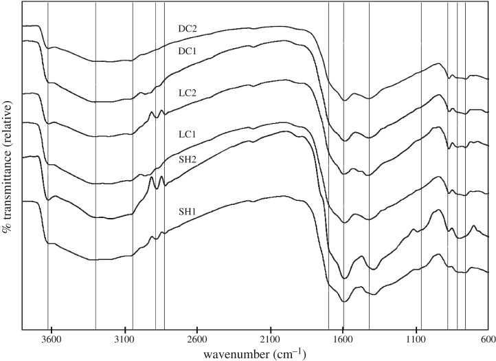 Figure 10.