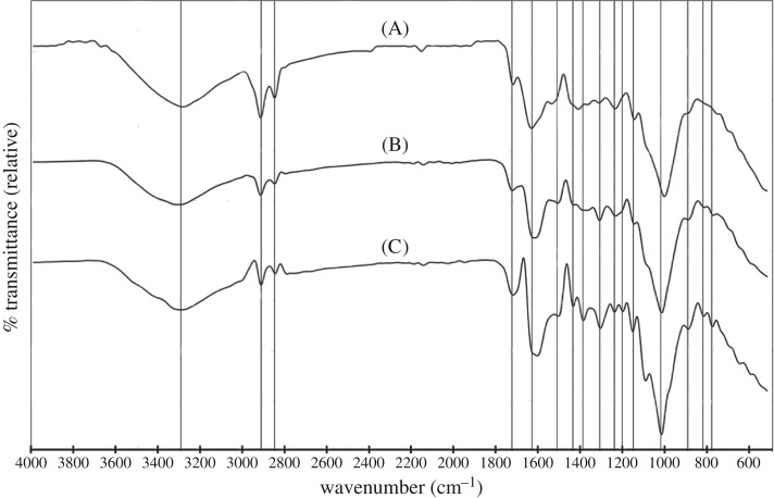 Figure 9.